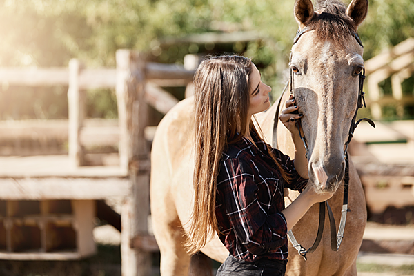 Natu Horse